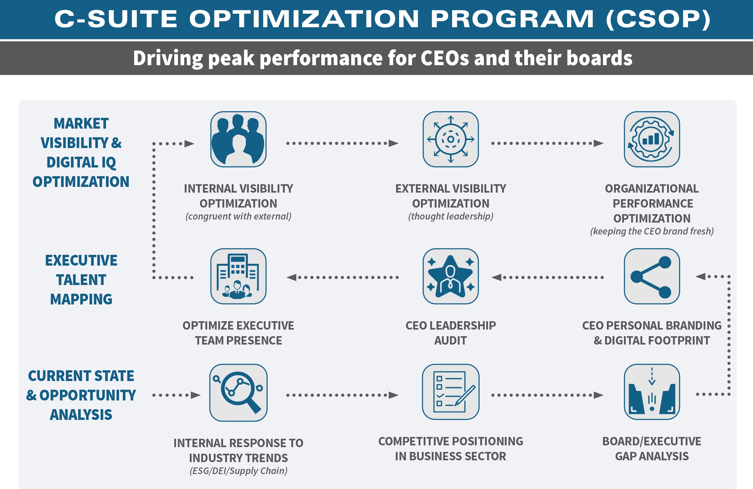 C-Suite Optimization Program